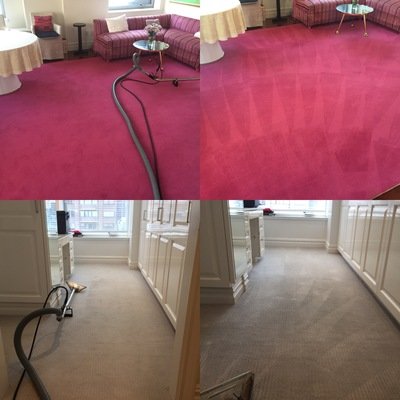 stain free carpet cleaning boca raton