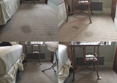 stain and odor removal boca raton