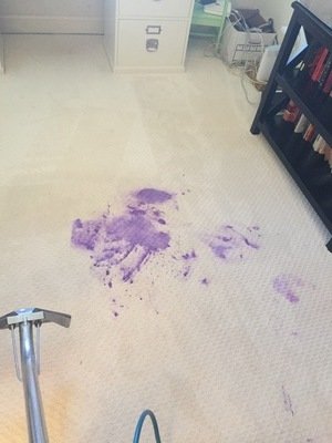 how to remove wine from carpet boca raton